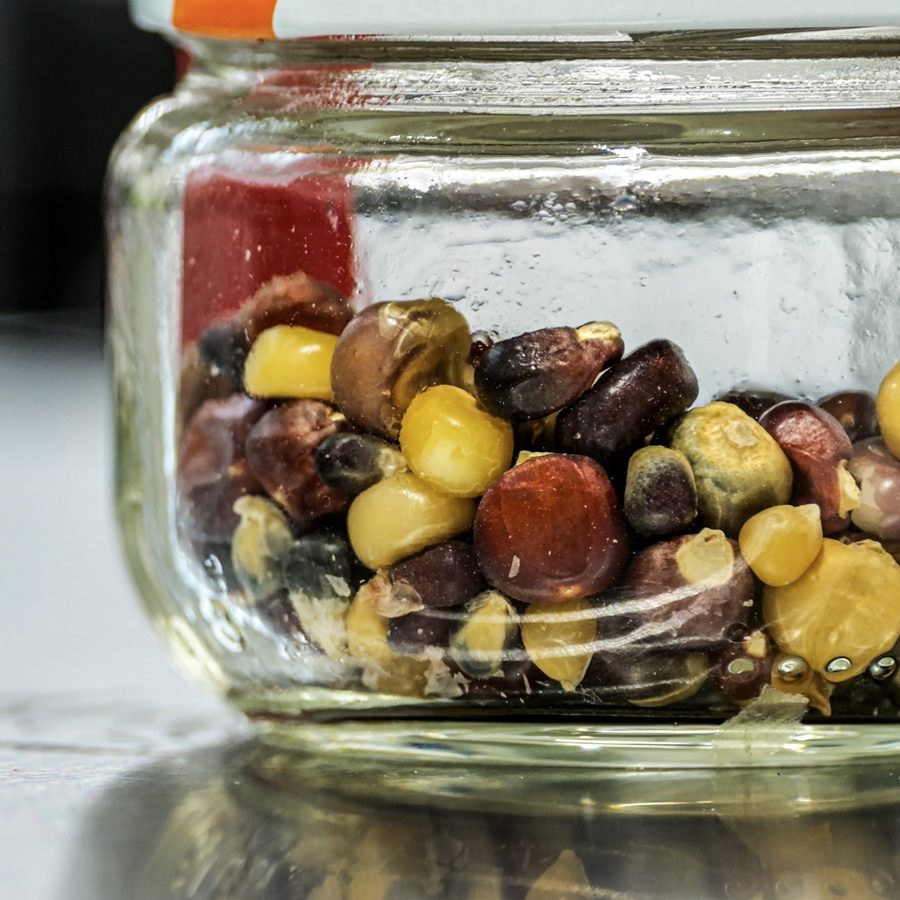 Jar of diverse heirloom corn and seed varieties